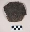 Coarse earthenware body sherd, cord impressed, shell temper