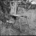 Table in the expedition camp, constructed from five lashed branches against a tree, with a chair next to it