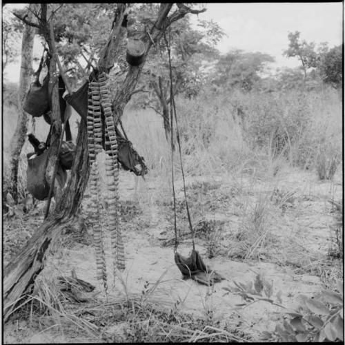 Dance rattles, reins and hunting equipment hanging in a tree