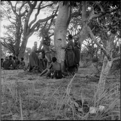 Group of women and girls playing Tcxai Djxani (a dancing game) at a tree, with a group of men and boys sitting in the background