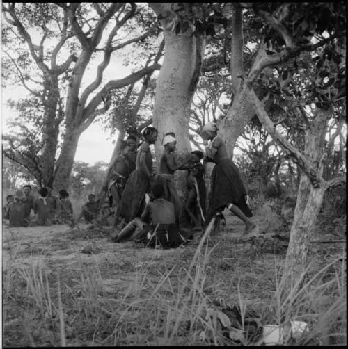 Group of women and girls playing Tcxai Djxani (a dancing game) at a tree, with a group of men and boys sitting in the background