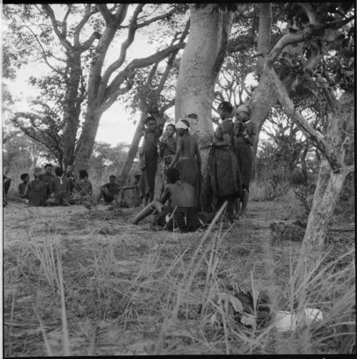 Group of women and girls playing Tcxai Djxani (a dancing game) at a tree, with a group of men and boys sitting in the background