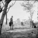 Girl standing near a tree