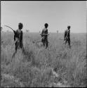 Three hunters walking into the veld, carrying hunting equipment over their shoulders