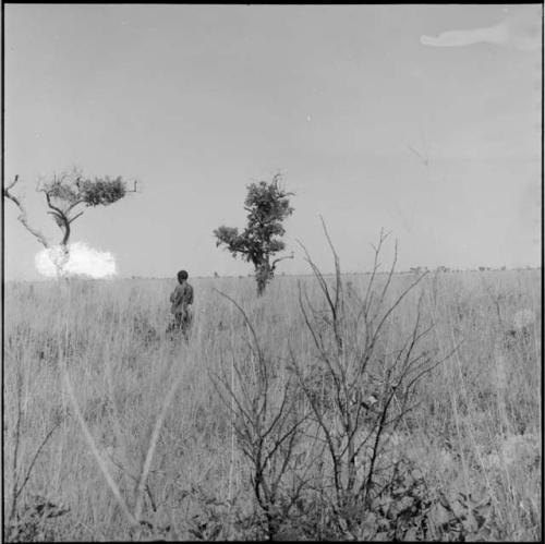 Hunter standing in the veld, distant view