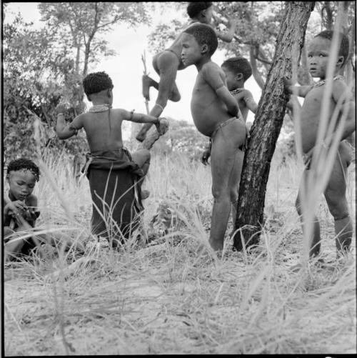 Children playing, jumping off a Y-shaped tree stump