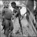 Children playing, with a boy climbing a Y-shaped tree stump