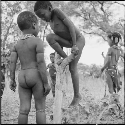 Children playing, with a child climbing a Y-shaped tree stump