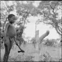 Boy standing, holding an axe, preparing to chop a Y-shaped tree stump