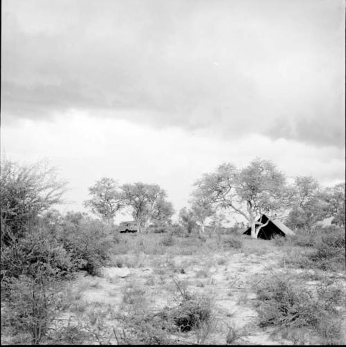 Expedition tent and Land Rover, distant view