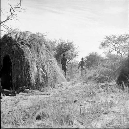 Two men walking behind a skerm, carrying their hunting equipment