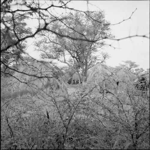 Group of people sitting next to skerms in the werft, distant view through bushes