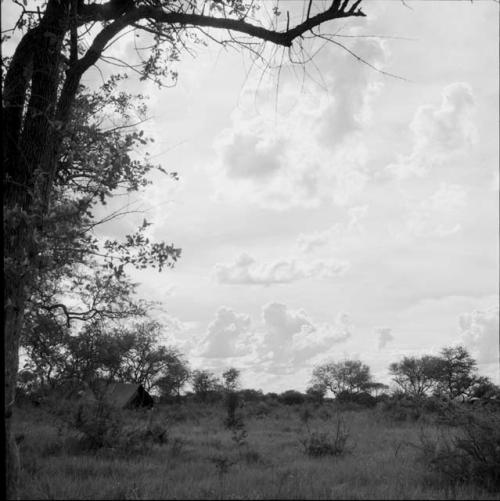 Landscape with cumulus clouds in the sky, expedition tent in the background