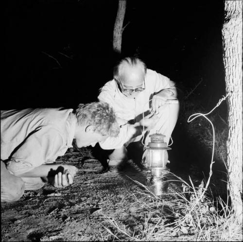 John Marshall and Charles Koch studying termites