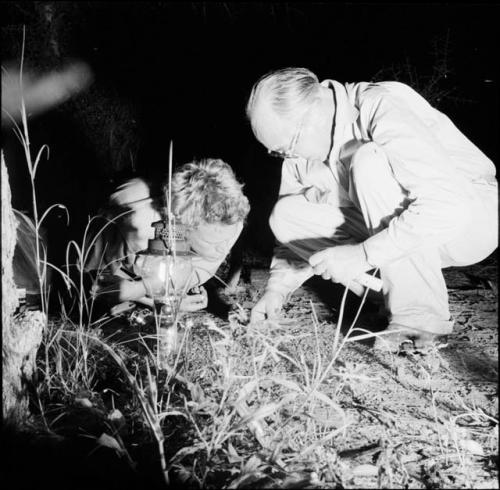 John Marshall and Charles Koch studying termites