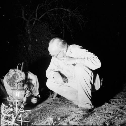 John Marshall and Charles Koch studying termites