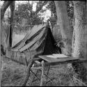 Table in the expedition camp, constructed from five lashed branches against a tree, with a pup tent behind it