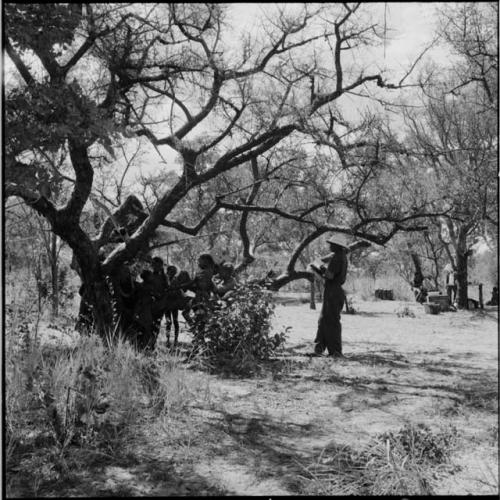 Group of children standing near a tree, with John Marshall filming them