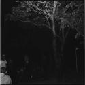 Group of people sitting next to a tree at a night dance