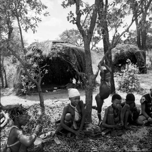 N!ai and ≠Nisa sitting with a group under a tree cracking mangetti nuts