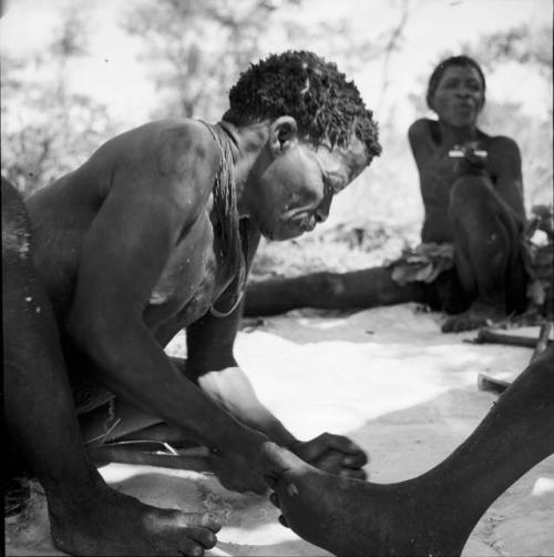 ≠Toma scraping a hide, with a person's foot in front of him, man sitting in the background