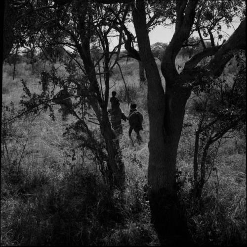 Man carrying a child on his shoulders, walking with another person past trees