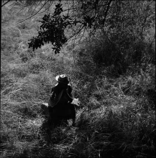 Man wearing a hat, standing under a tree