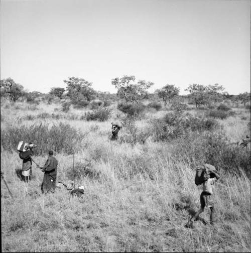 Four people walking in the veld, carrying bundles and possessions