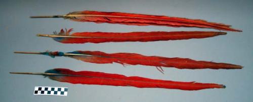 Feathers mounted on stick bases