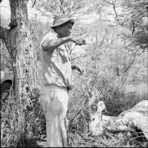 Man standing next to a dead kudu, holding a knife, gesturing