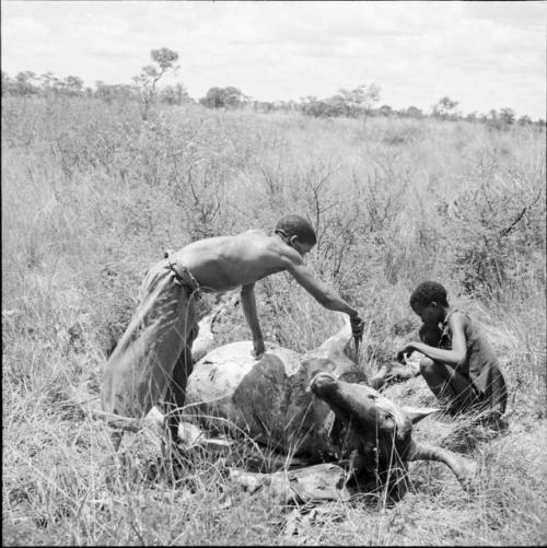 "Short /Qui" and an unidentified man skinning a kudu carcass