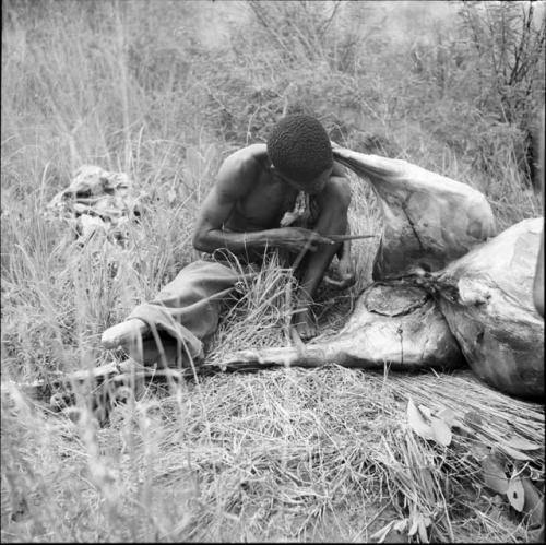 "Short /Qui" working on the hind legs of a kudu carcass