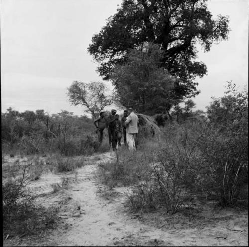 Group of people standing with an expedition member, distant view