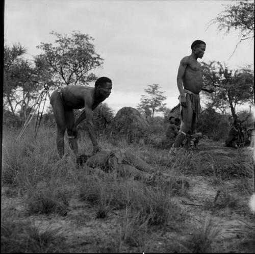 Man leaning over, aiding a man lying on the ground in trance at the beginning of a daytime dance, with /Ti!kay wearing dance rattles, standing near them, a camera tripod and skerm in the background