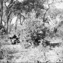 Group of people sitting in the veld