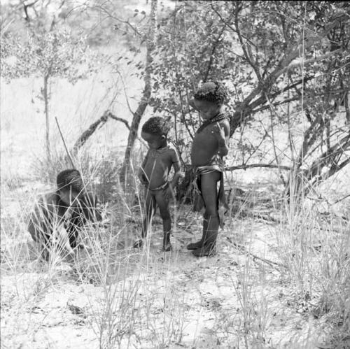 Boy digging in the sand with his digging stick, with !Ungka Norna and another child watching him