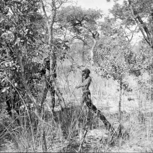 Children standing behind tall grasses and trees