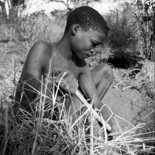 Boy digging with his digging stick