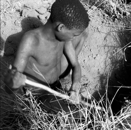 Boy digging with his digging stick