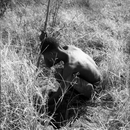 Boy digs with his digging stick