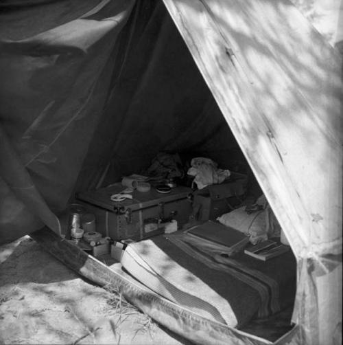 Cot and film equipment inside an expedition tent