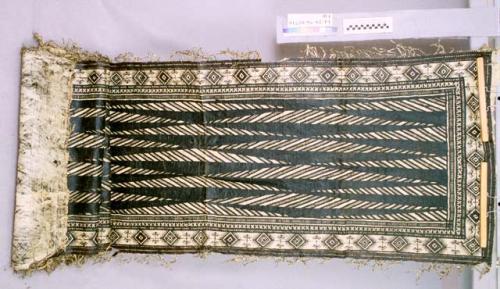 Tapa cloth