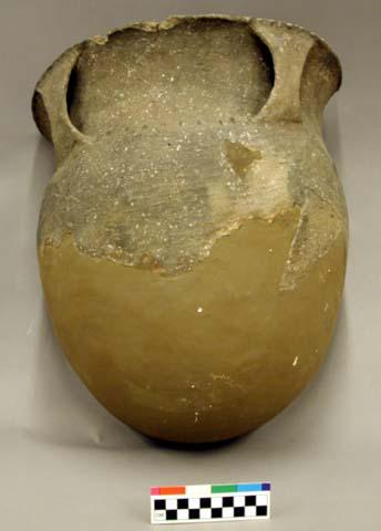 Ceramic, earthenware partial vessel, two handles, flared rim incised above handles, punctate shoulder, undecorated body, shell-tempered; reconstructed and crossmended with plaster, glue, or putty
