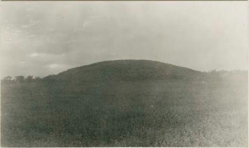 Mound 3 before excavation