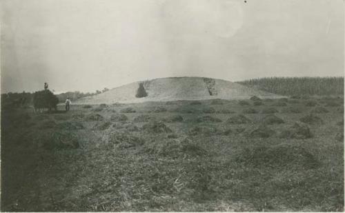 Mound 3 during excavation