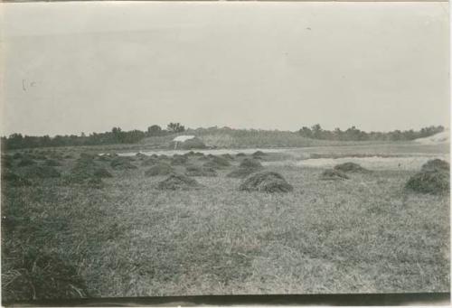 Mound 6 showing depression 1 and 2 at right foreground