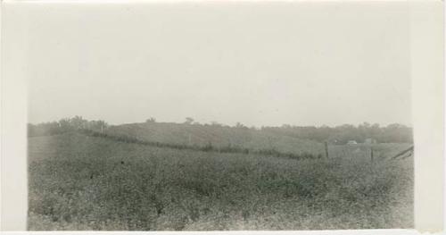 Mound 2 from southwest