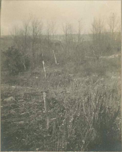 Soapstone quarry