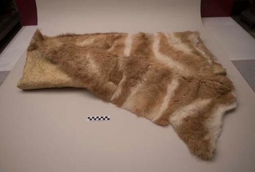 Guanaco skin blanket