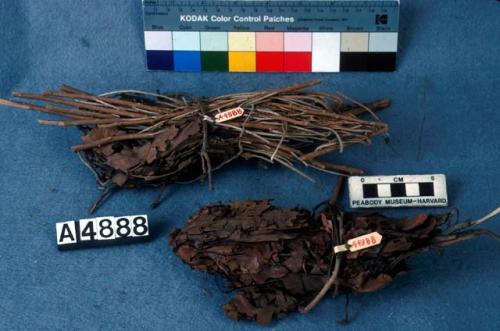 Bundles of plant stalks and oak twigs